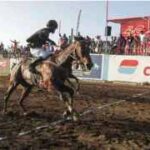 A tradicional Corrida de Cavalos acontece na ilha do Fogo